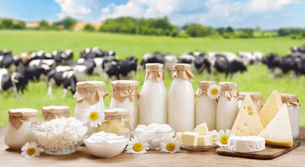 Dairy Products and Ice Cream